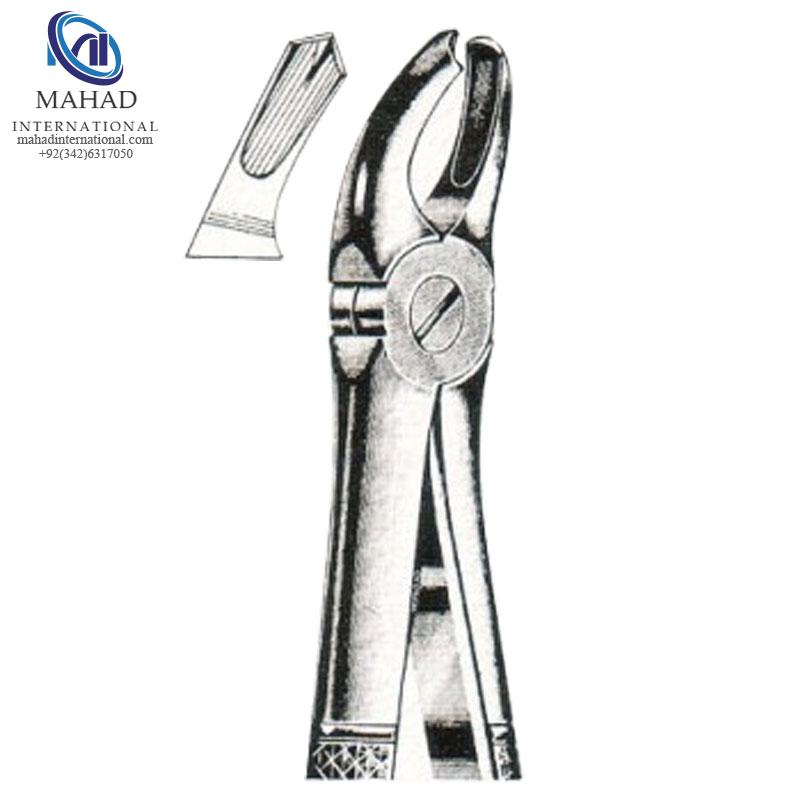 Left Upper Molars